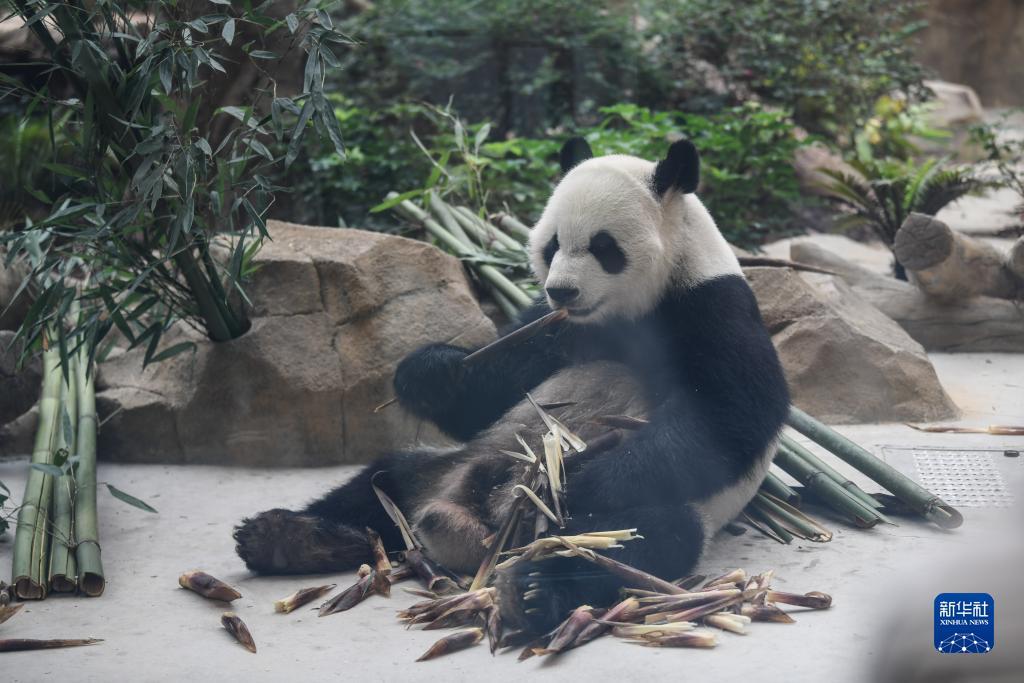 网络金沙网站